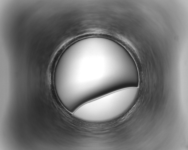 X0000096671318200802051002