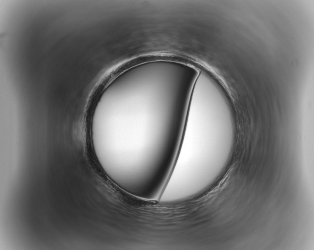 X0000096671319200802051002