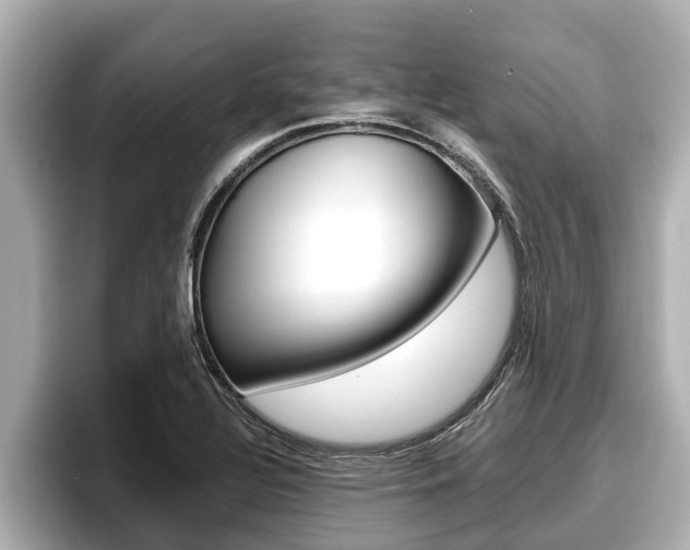 X0000096671320200802051002