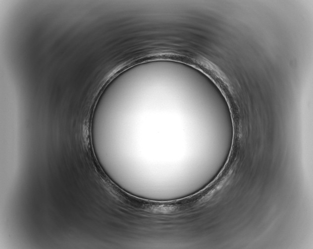 X0000096671321200802051002