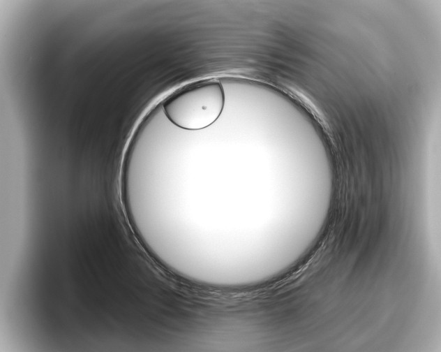 X0000096671324200802051002