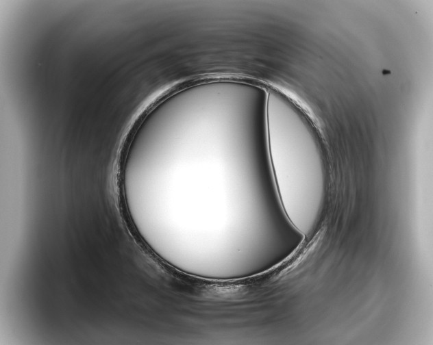 X0000096671325200802051002