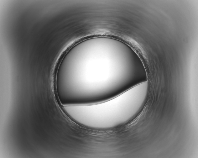 X0000096671326200802051002