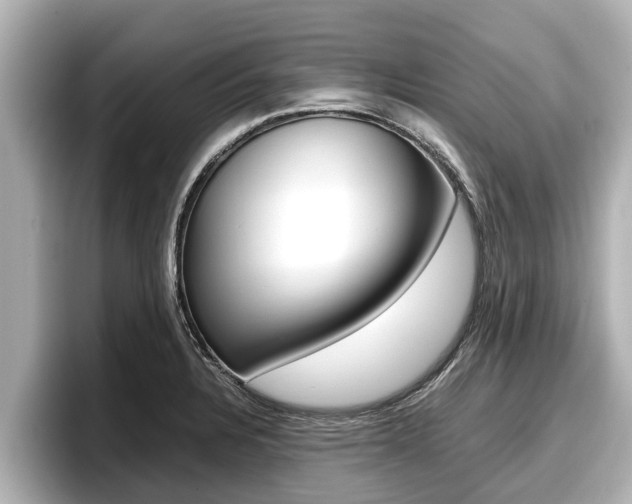 X0000096671328200802051002