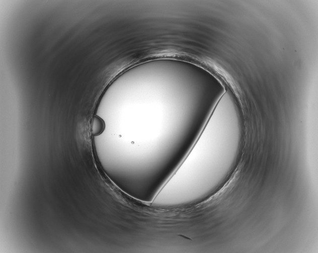 X0000096671329200802051002