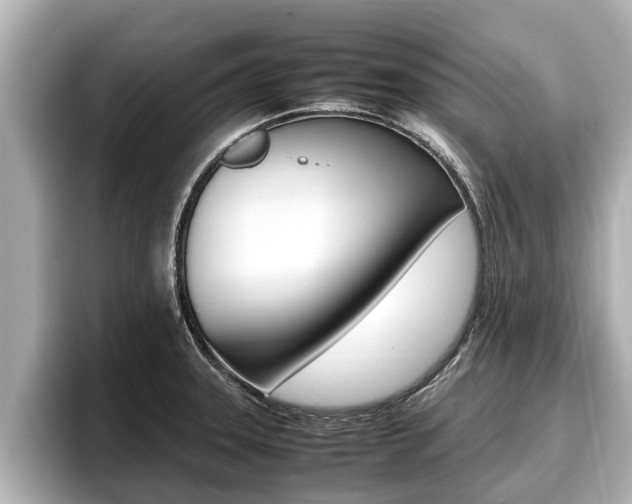 X0000096671331200802051002