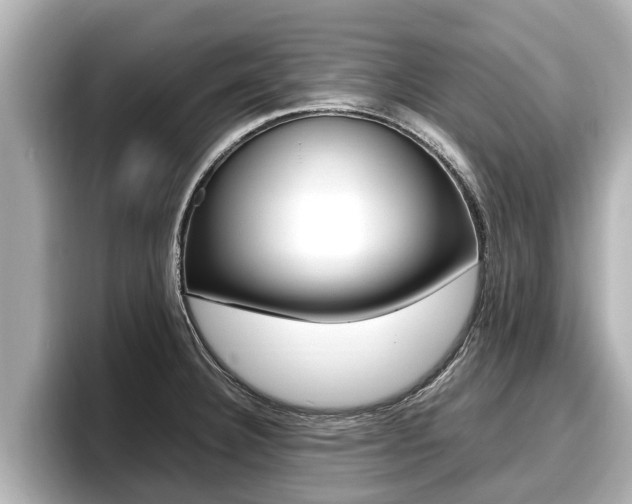 X0000096671332200802051002