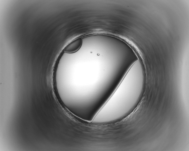 X0000096671333200802051002
