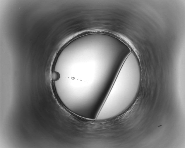 X0000096671335200802051002