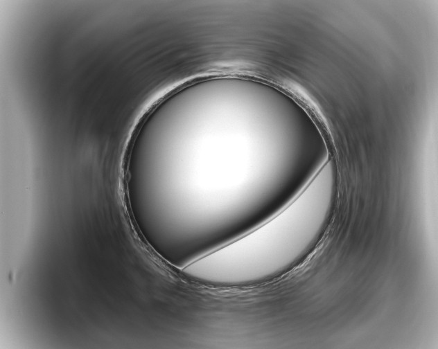 X0000096671336200802051002
