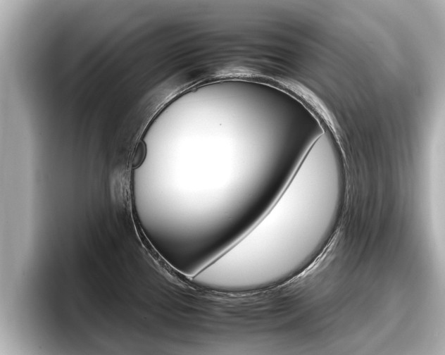 X0000096671337200802051002
