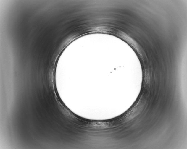 X0000096671338200802051002