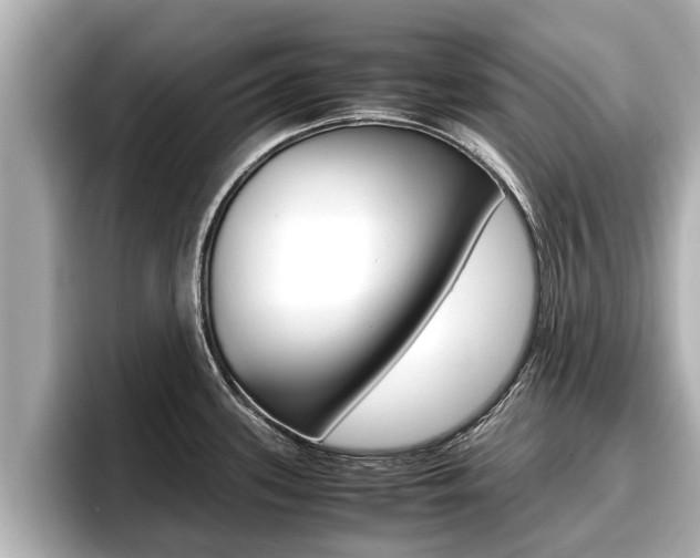 X0000096671339200802051002