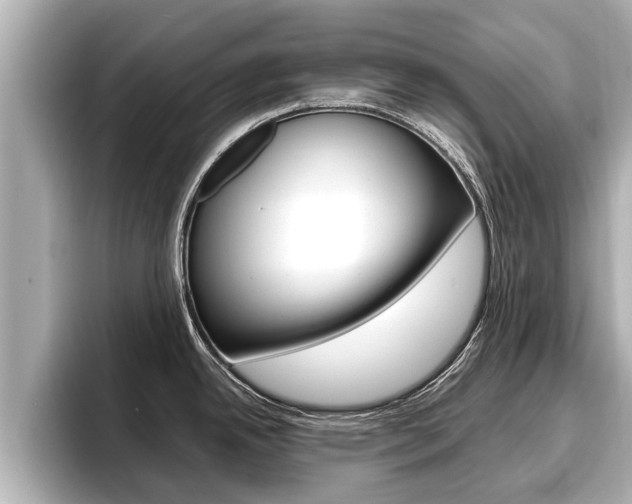 X0000096671342200802051002