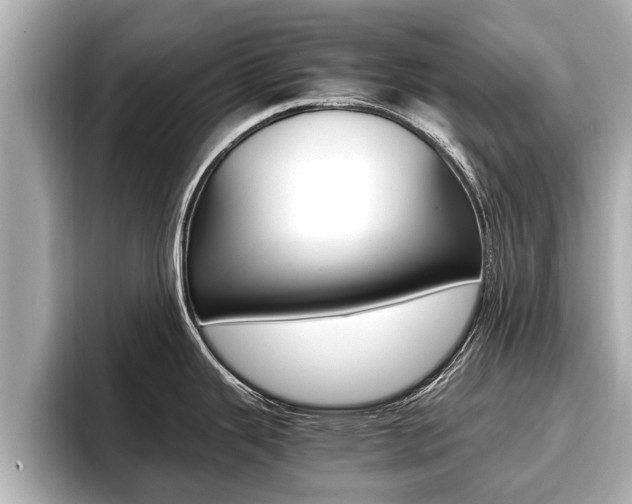 X0000096671343200802051002
