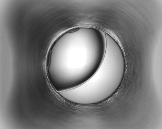 X0000096671344200802051002