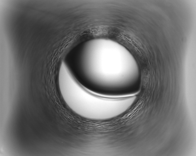 X0000096671345200802051002