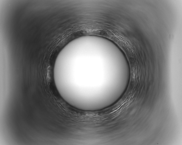 X0000096671346200802051002
