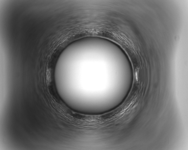 X0000096671347200802051001