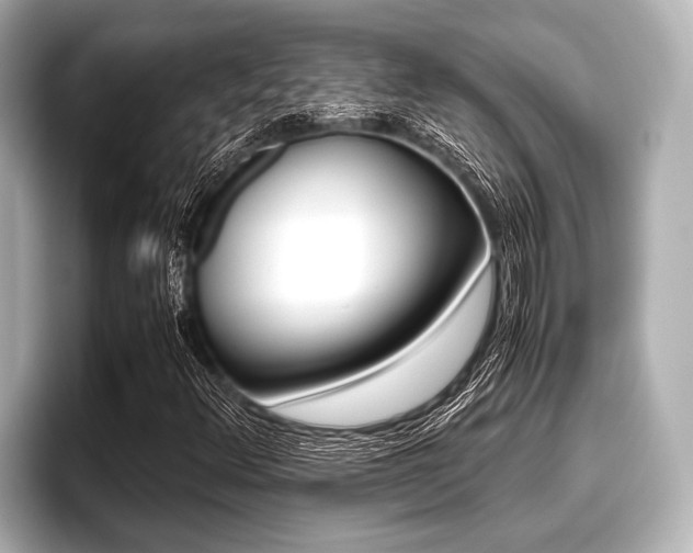 X0000096671348200802051001