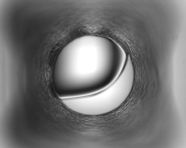 X0000096671349200802051001