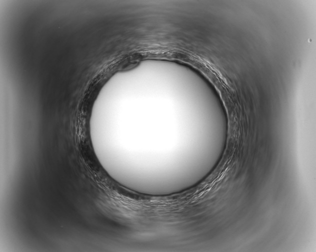 X0000096671350200802051001