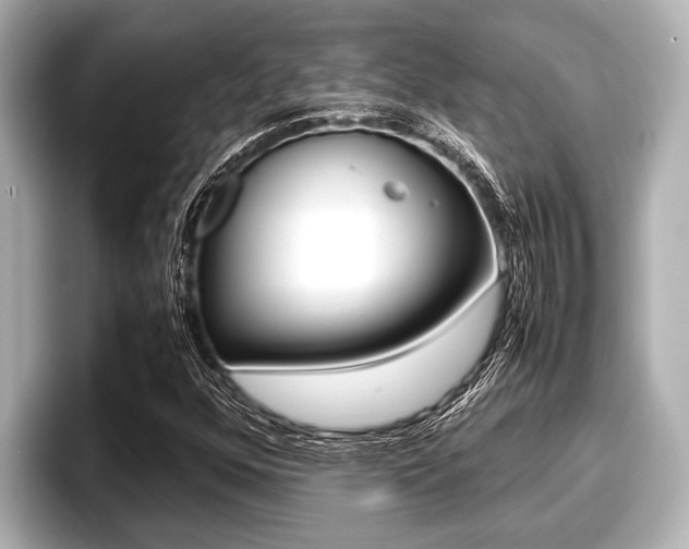 X0000096671352200802051001