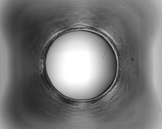 X0000096671355200802051001