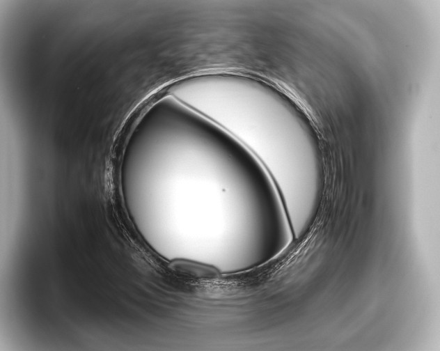 X0000096671356200802051001