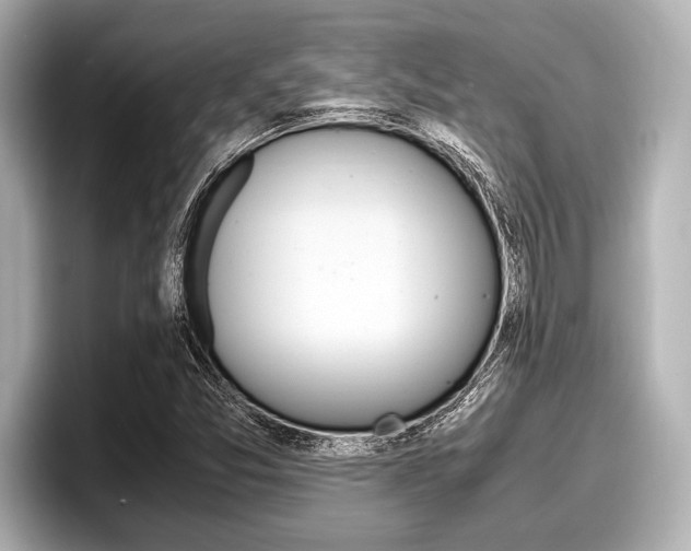 X0000096671357200802051001