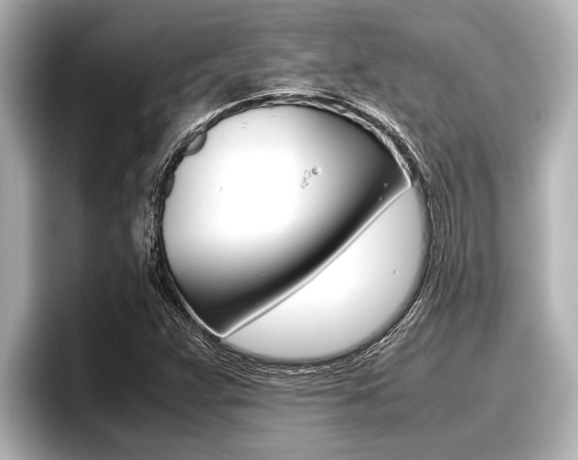 X0000096671359200802051001