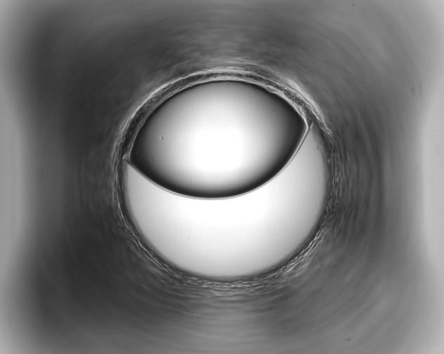 X0000096671360200802051001
