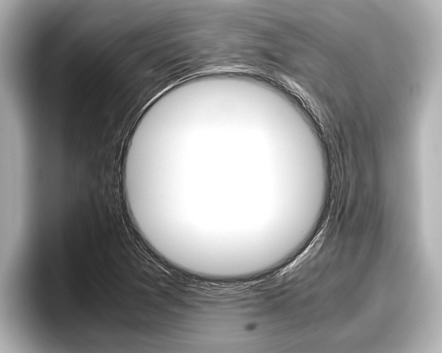 X0000096671361200802051001