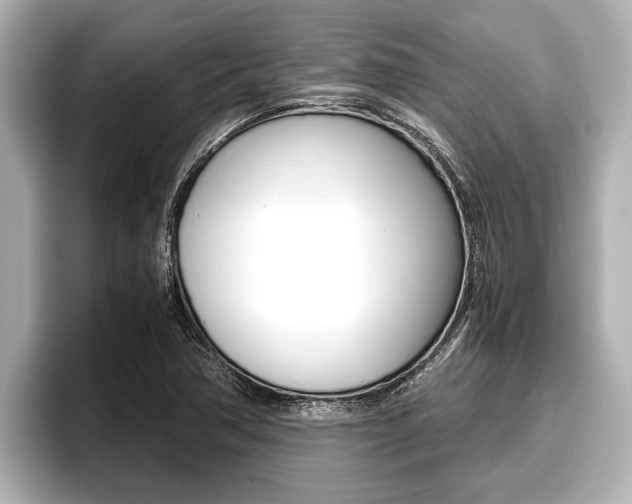 X0000096671362200802051001