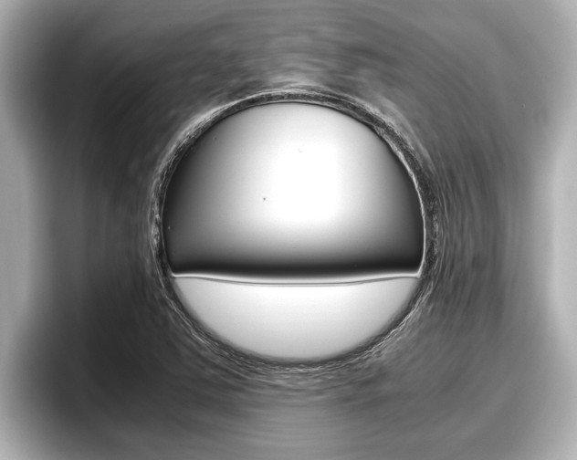 X0000096671363200802051001