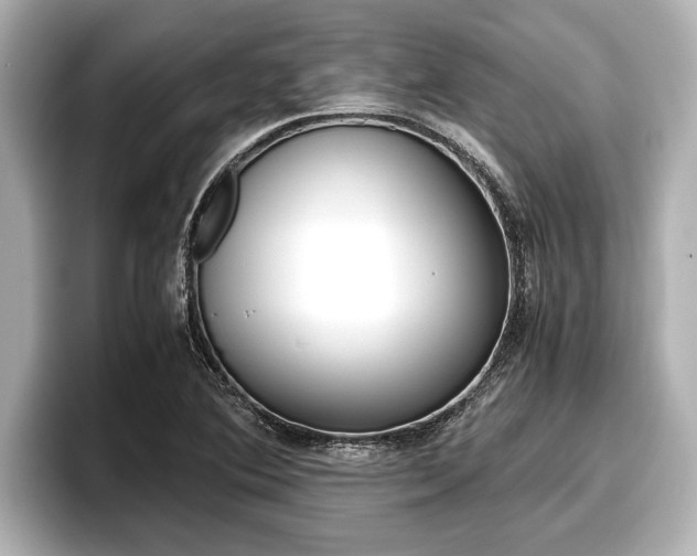 X0000096671364200802051001