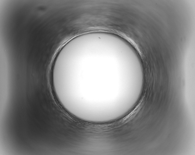 X0000096671365200802051001
