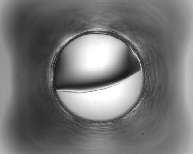 X0000096671367200802051001