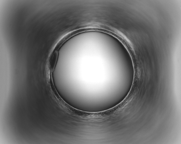 X0000096671368200802051001