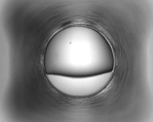 X0000096671369200802051001
