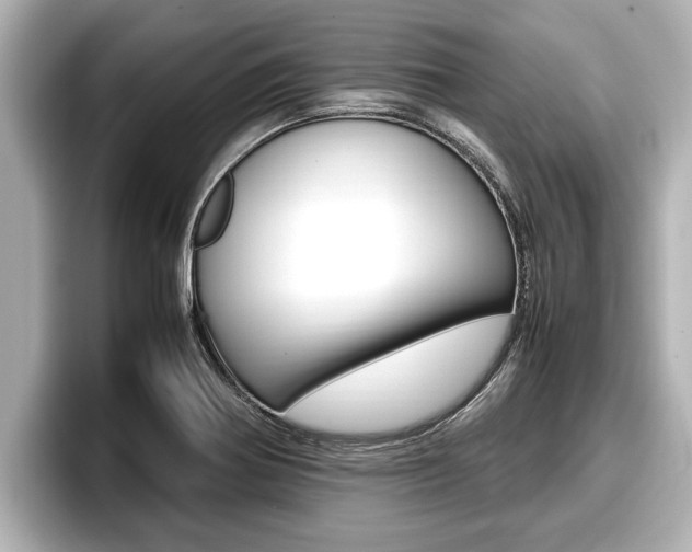 X0000096671370200802051001