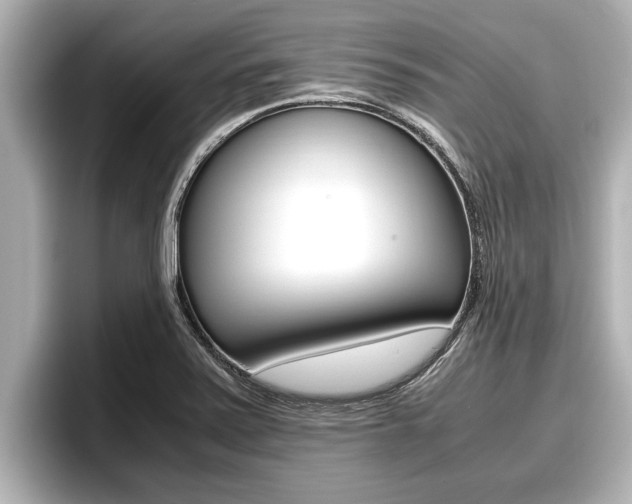 X0000096671371200802051001