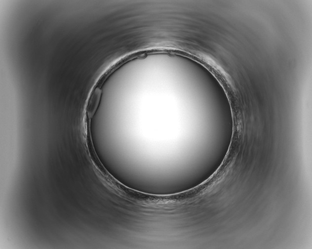 X0000096671372200802051001