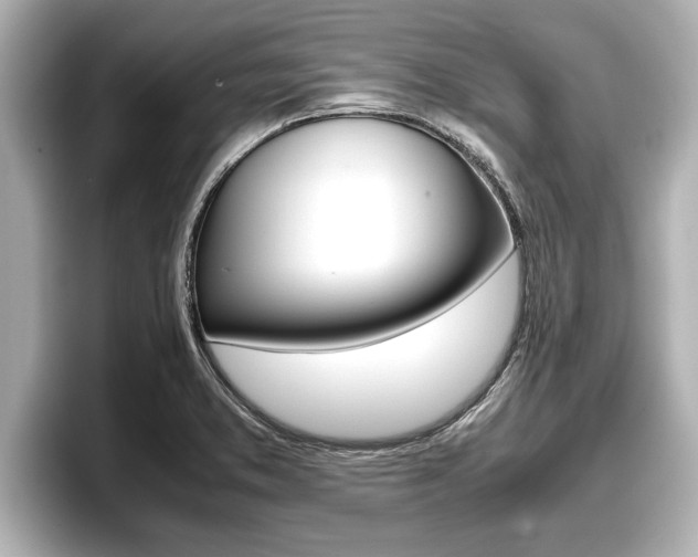 X0000096671373200802051001
