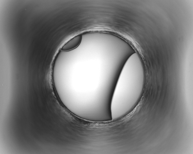 X0000096671374200802051001