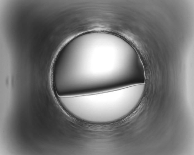 X0000096671375200802051001