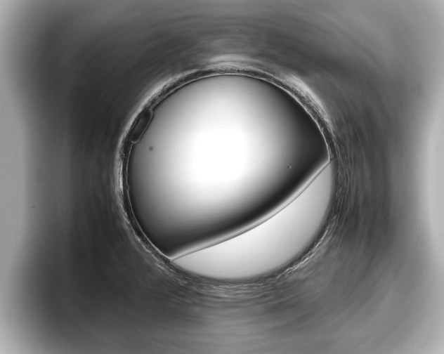 X0000096671376200802051001