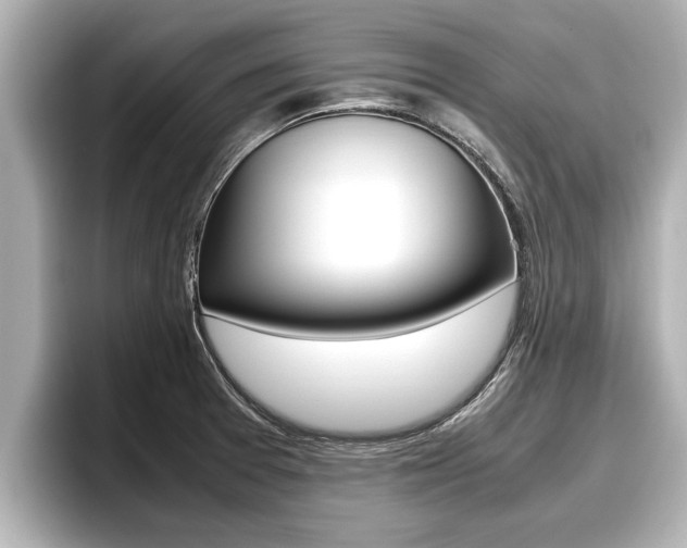 X0000096671377200802051001