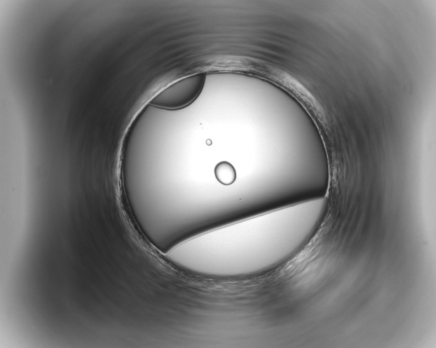 X0000096671378200802051001