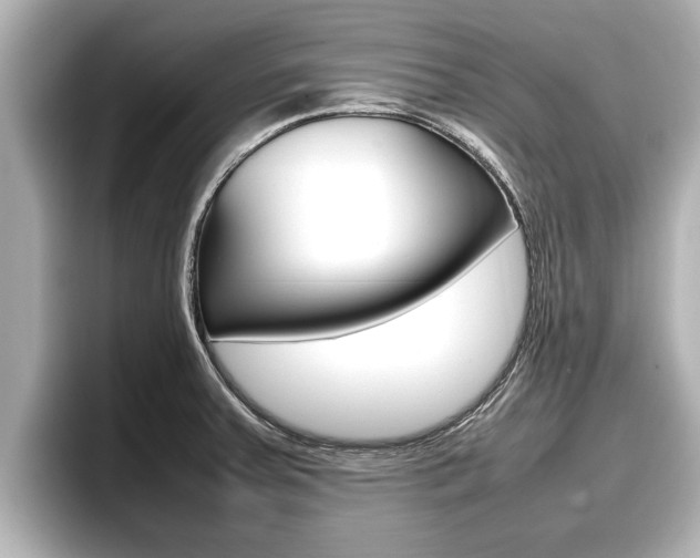 X0000096671379200802051001